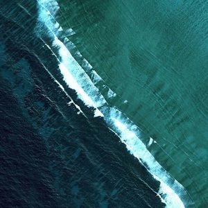 Meet your Posher, Sidney